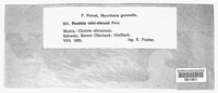 Image Associated With the Occurence